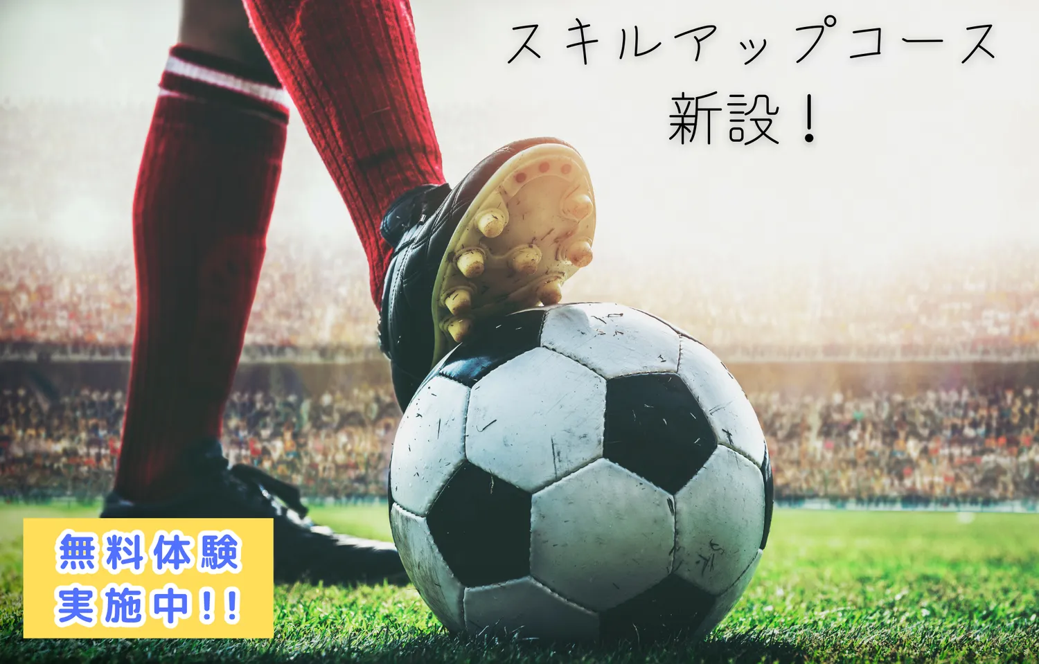 【お知らせ】スキルアップコース新設！体験会開催！